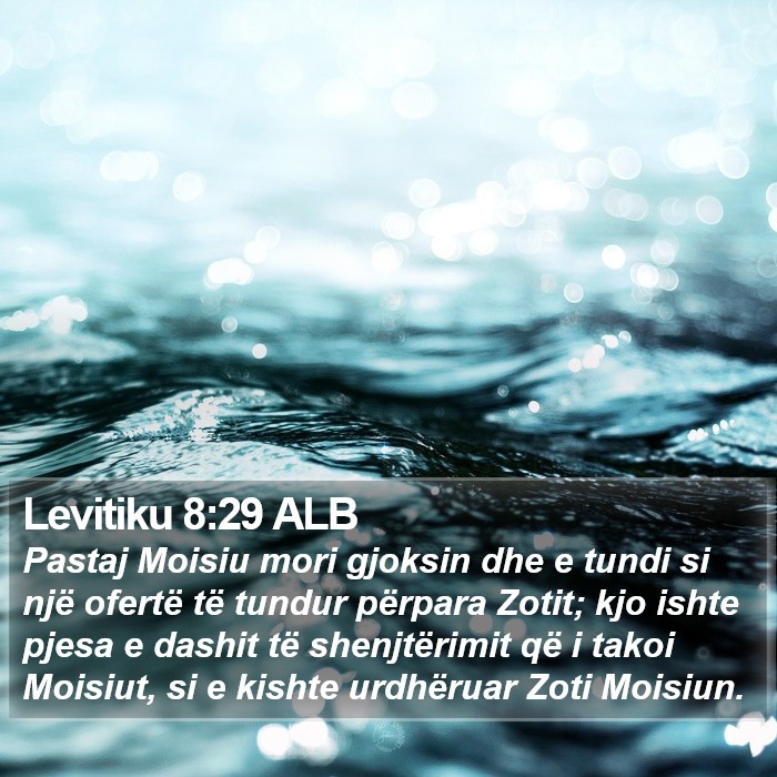 Levitiku 8:29 ALB Bible Study