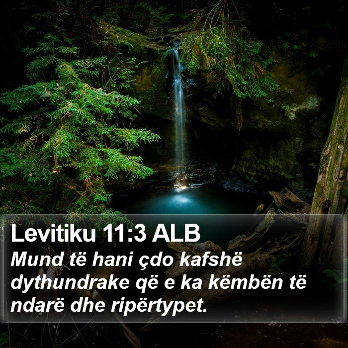 Levitiku 11:3 ALB Bible Study