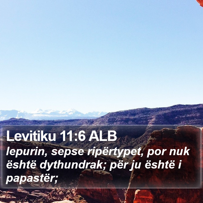 Levitiku 11:6 ALB Bible Study