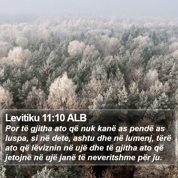 Levitiku 11:10 ALB Bible Study