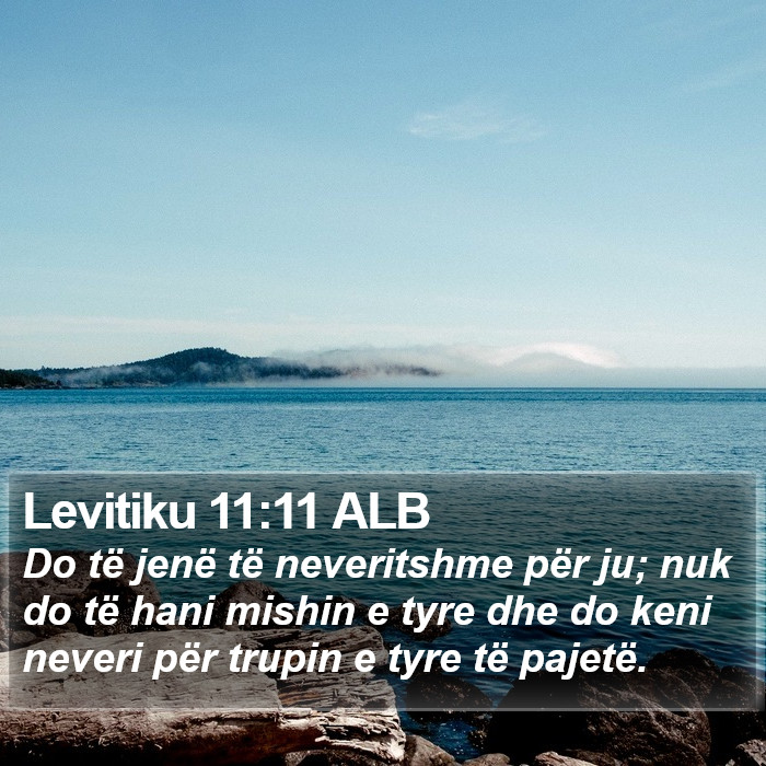 Levitiku 11:11 ALB Bible Study