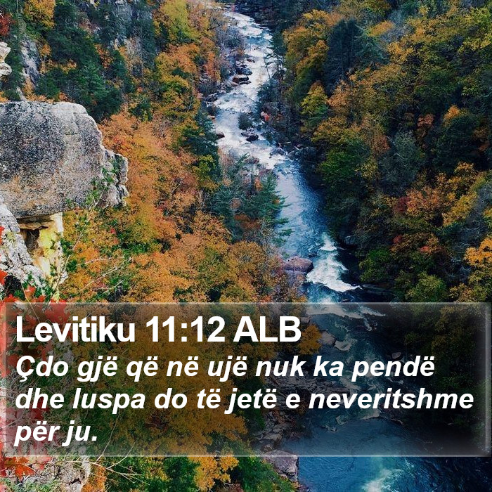 Levitiku 11:12 ALB Bible Study