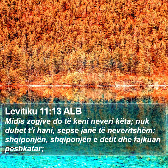 Levitiku 11:13 ALB Bible Study