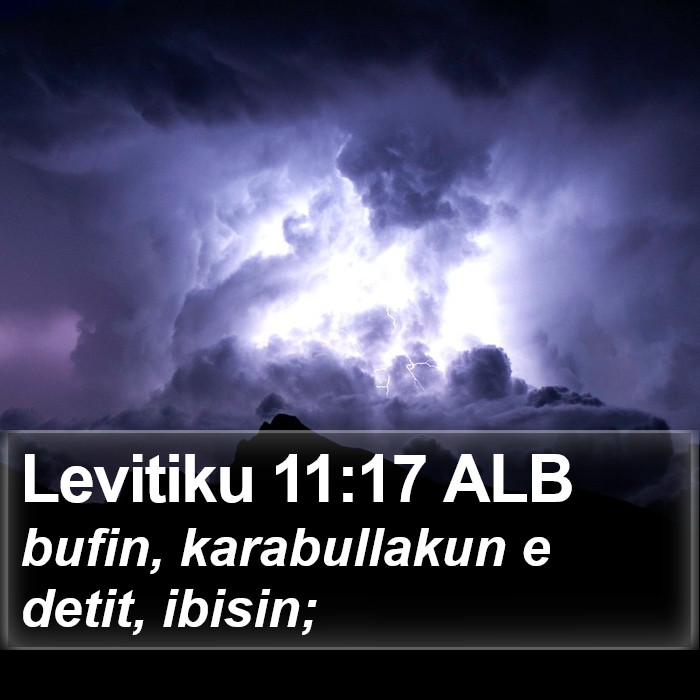 Levitiku 11:17 ALB Bible Study