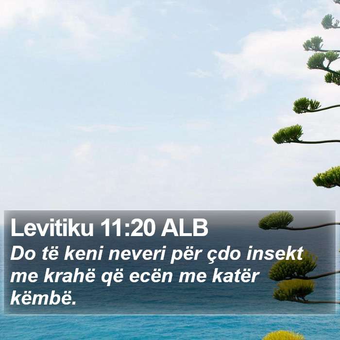 Levitiku 11:20 ALB Bible Study