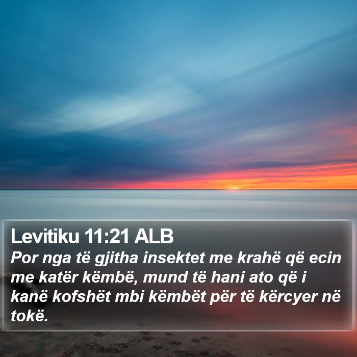 Levitiku 11:21 ALB Bible Study