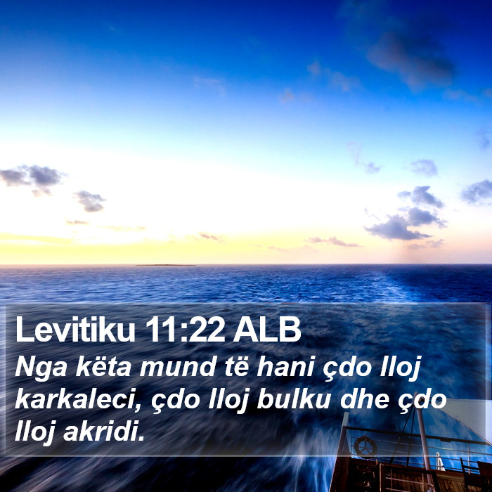 Levitiku 11:22 ALB Bible Study