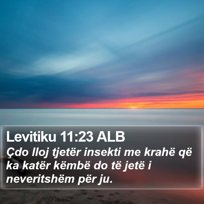 Levitiku 11:23 ALB Bible Study