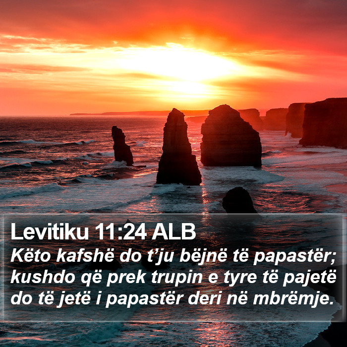 Levitiku 11:24 ALB Bible Study