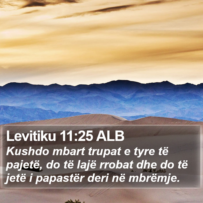 Levitiku 11:25 ALB Bible Study