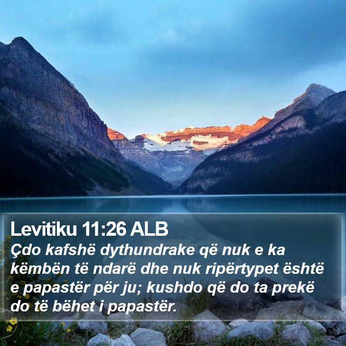 Levitiku 11:26 ALB Bible Study