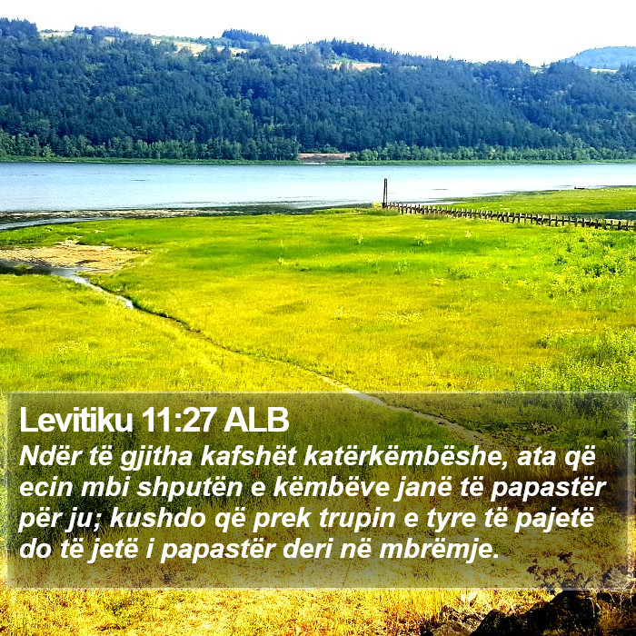 Levitiku 11:27 ALB Bible Study