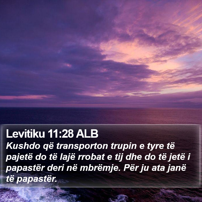 Levitiku 11:28 ALB Bible Study