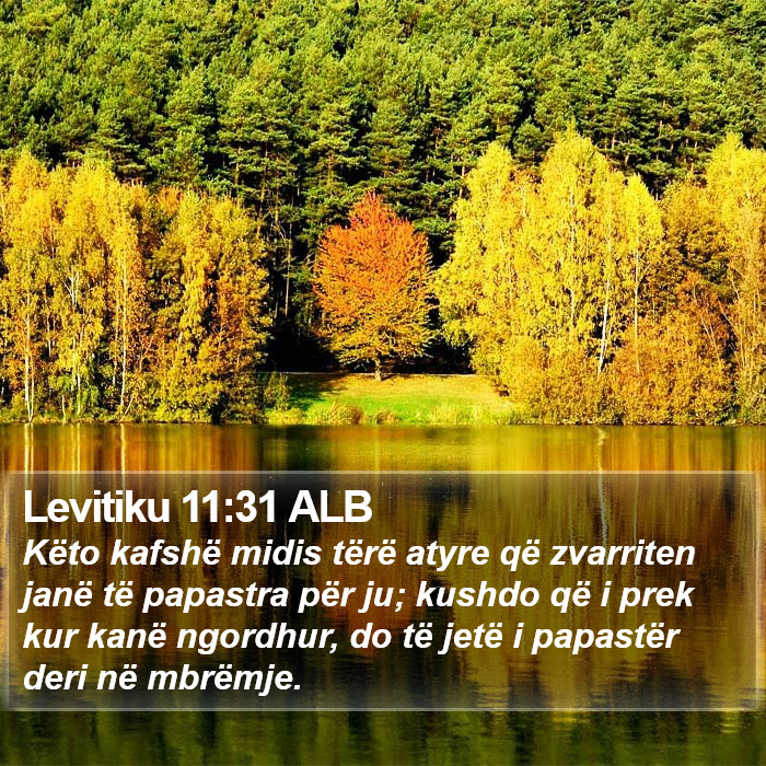 Levitiku 11:31 ALB Bible Study