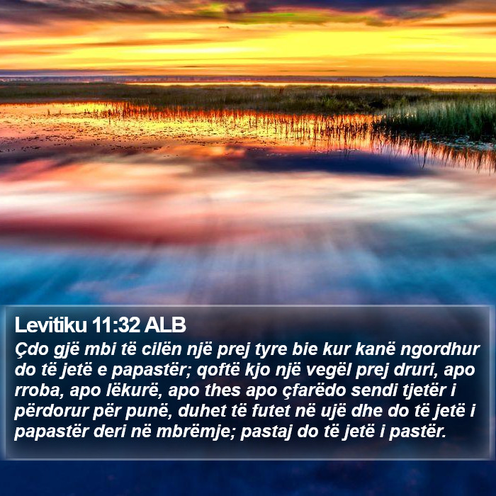 Levitiku 11:32 ALB Bible Study