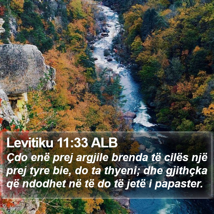 Levitiku 11:33 ALB Bible Study