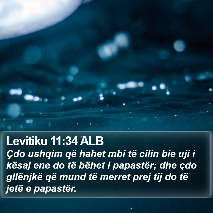 Levitiku 11:34 ALB Bible Study