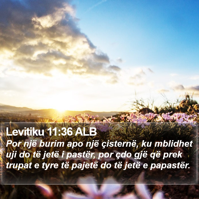 Levitiku 11:36 ALB Bible Study