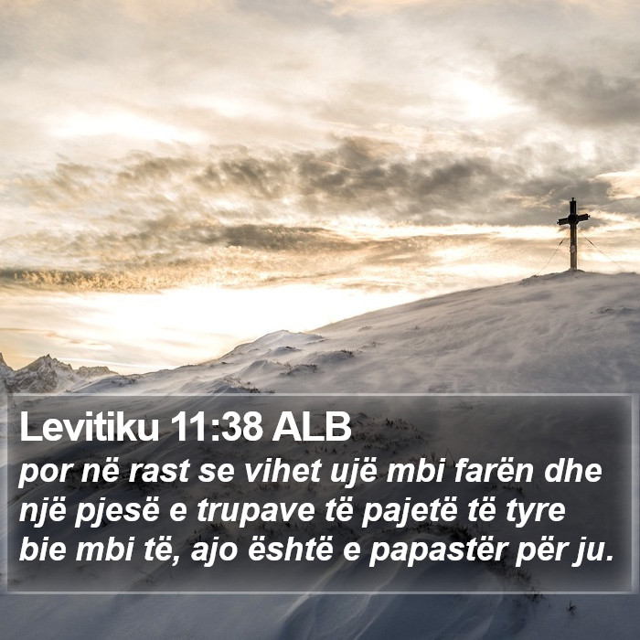 Levitiku 11:38 ALB Bible Study