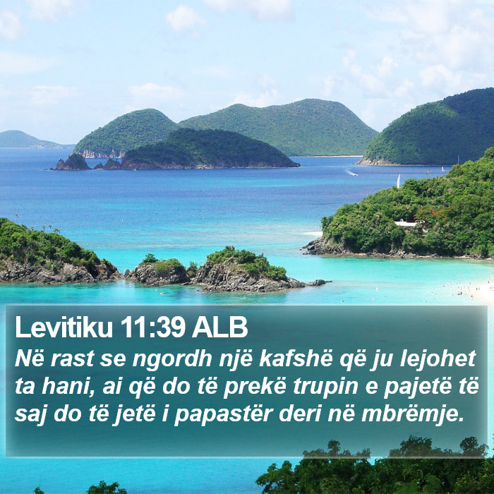 Levitiku 11:39 ALB Bible Study