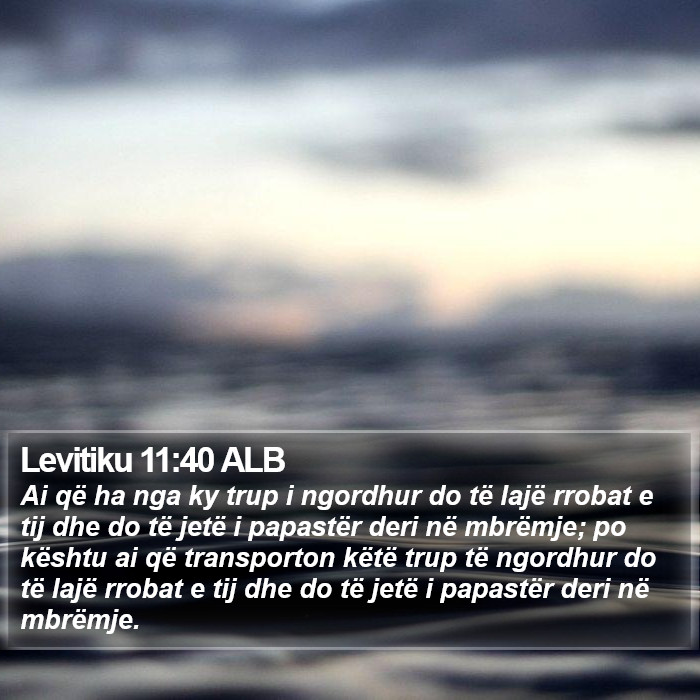 Levitiku 11:40 ALB Bible Study