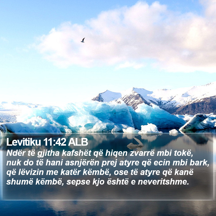 Levitiku 11:42 ALB Bible Study