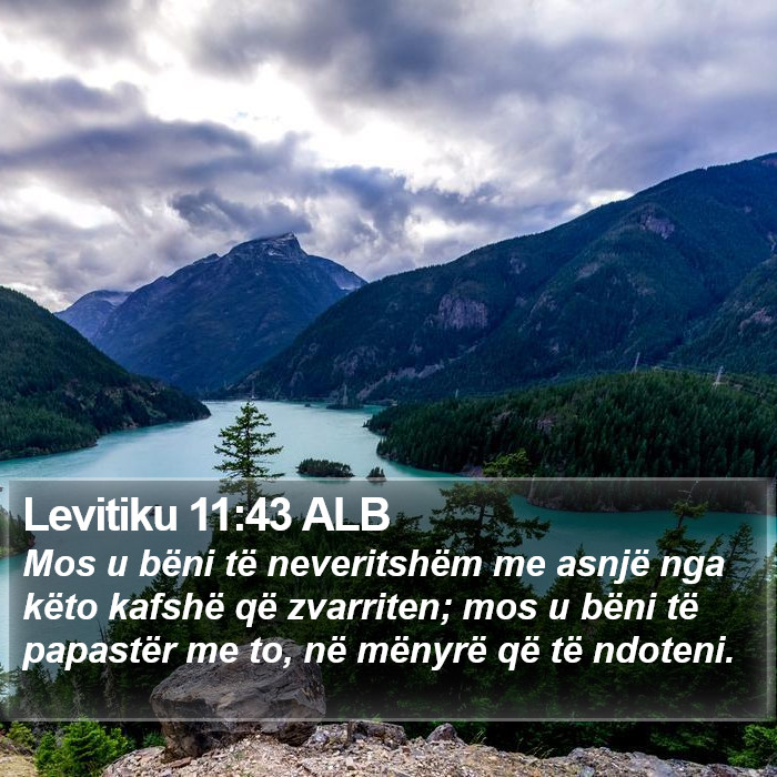 Levitiku 11:43 ALB Bible Study