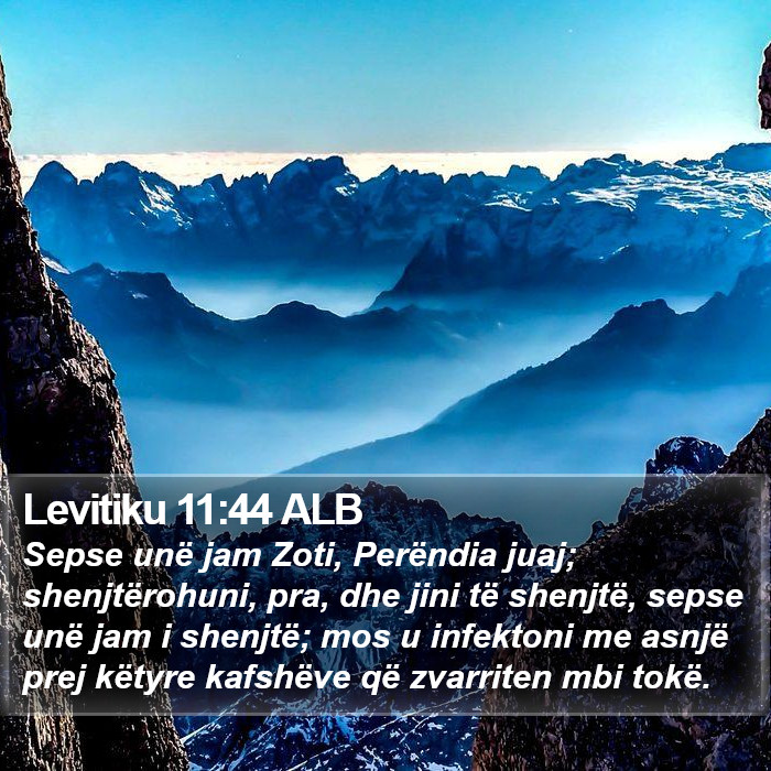 Levitiku 11:44 ALB Bible Study