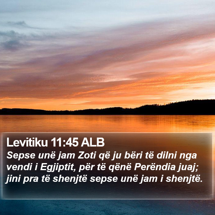 Levitiku 11:45 ALB Bible Study