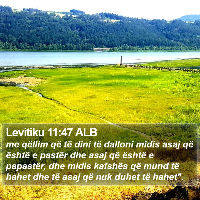 Levitiku 11:47 ALB Bible Study