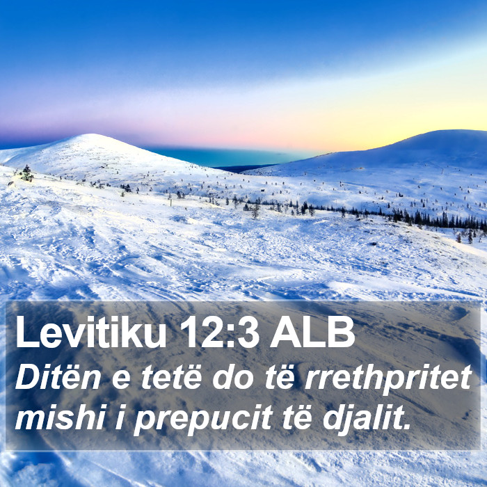 Levitiku 12:3 ALB Bible Study