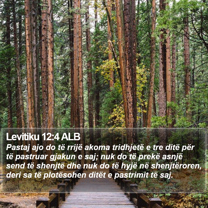 Levitiku 12:4 ALB Bible Study