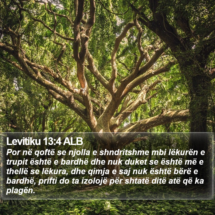 Levitiku 13:4 ALB Bible Study