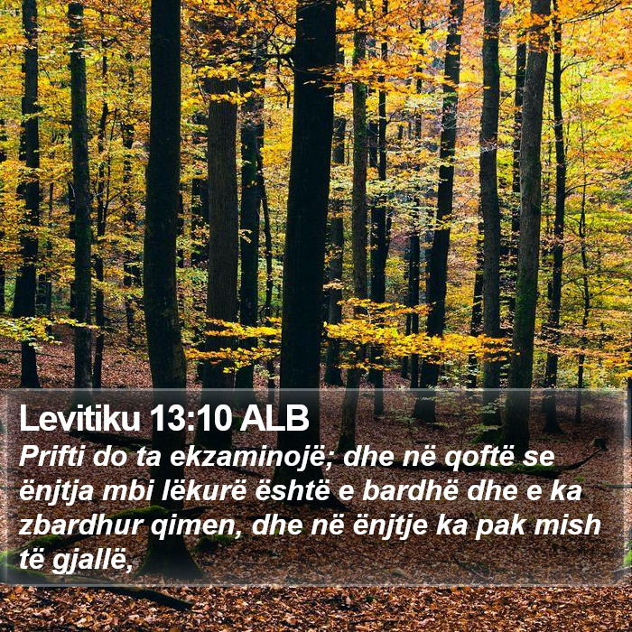 Levitiku 13:10 ALB Bible Study