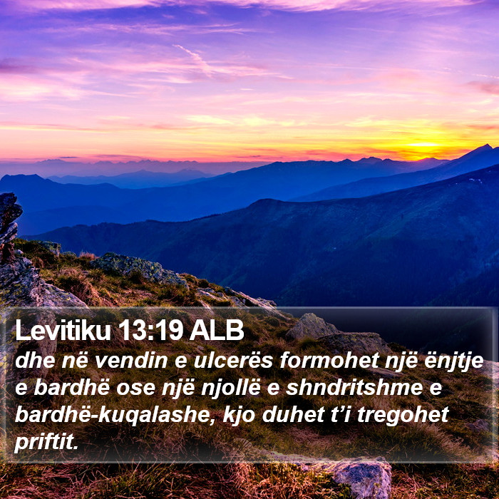 Levitiku 13:19 ALB Bible Study