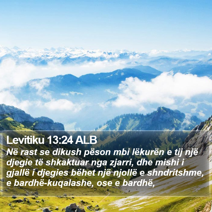 Levitiku 13:24 ALB Bible Study