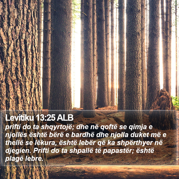 Levitiku 13:25 ALB Bible Study