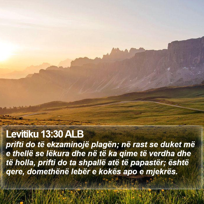 Levitiku 13:30 ALB Bible Study