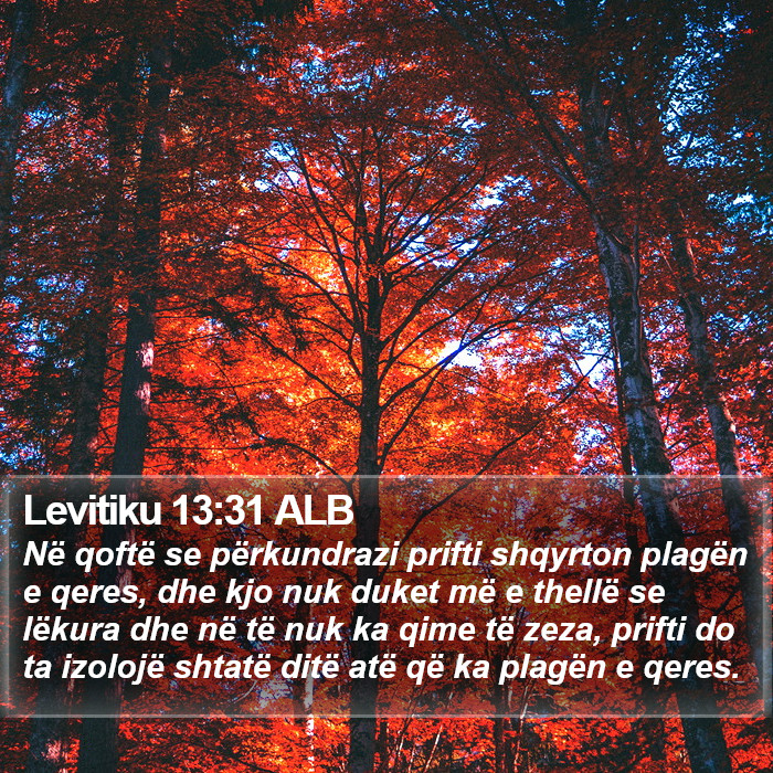 Levitiku 13:31 ALB Bible Study