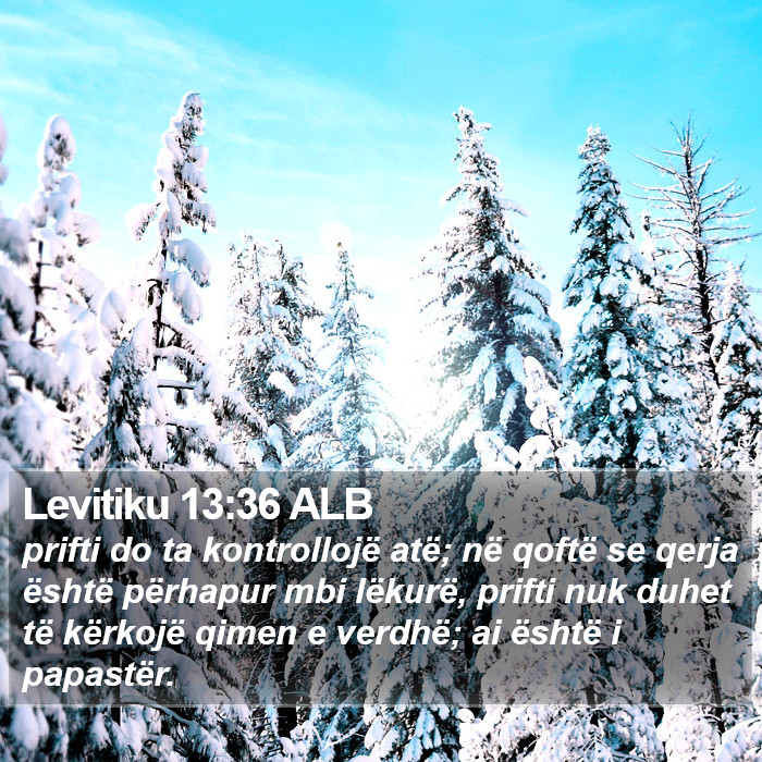 Levitiku 13:36 ALB Bible Study