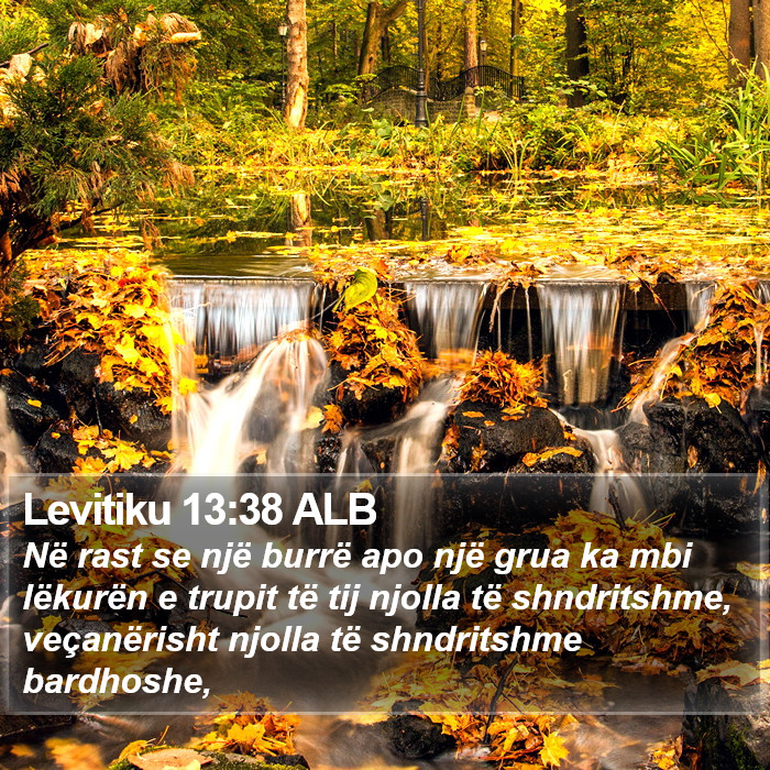 Levitiku 13:38 ALB Bible Study