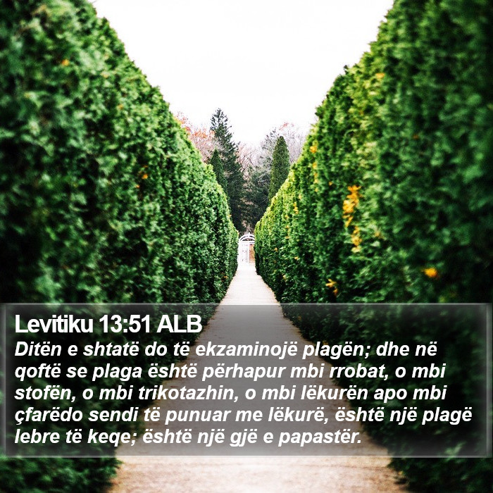 Levitiku 13:51 ALB Bible Study