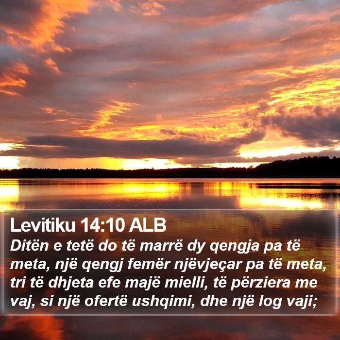 Levitiku 14:10 ALB Bible Study