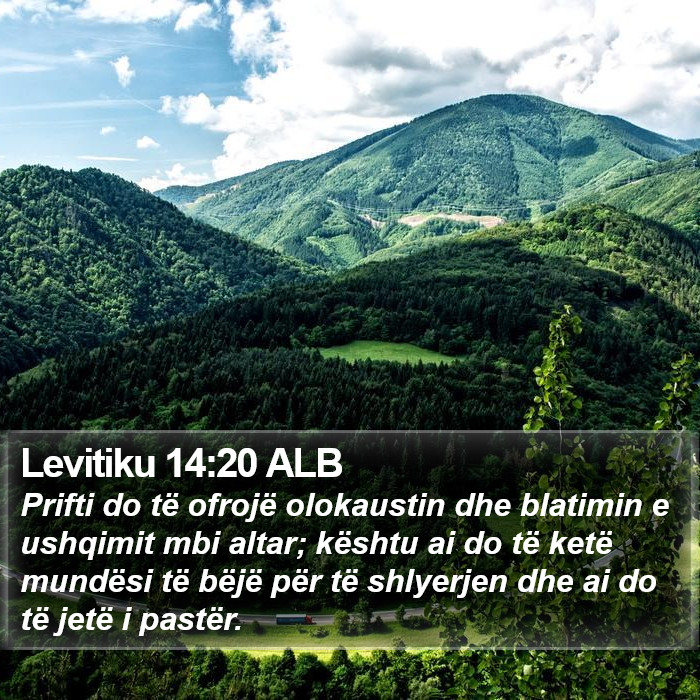 Levitiku 14:20 ALB Bible Study