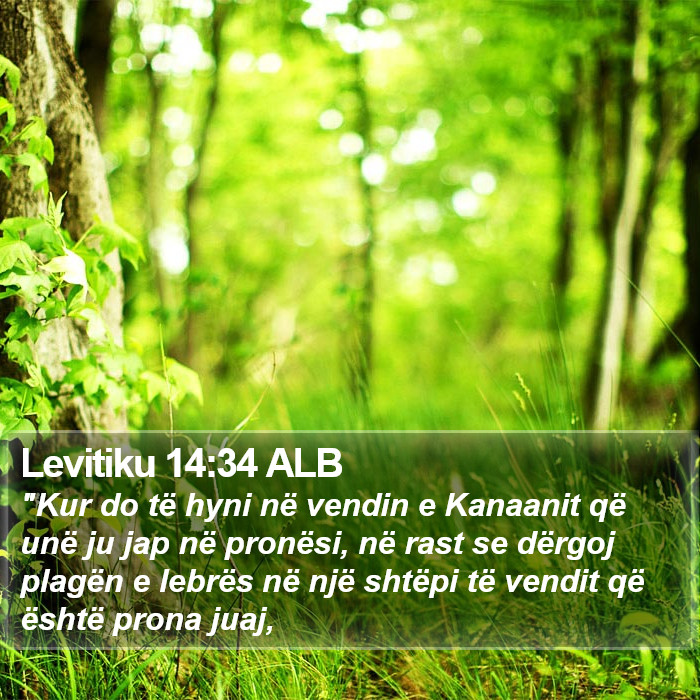 Levitiku 14:34 ALB Bible Study