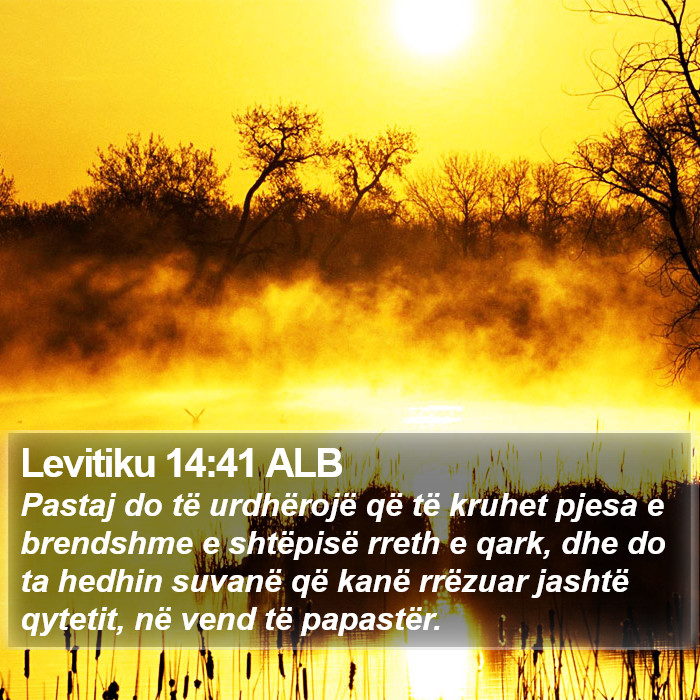 Levitiku 14:41 ALB Bible Study