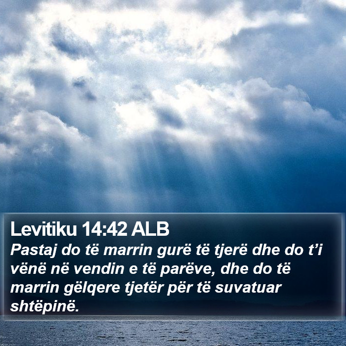 Levitiku 14:42 ALB Bible Study