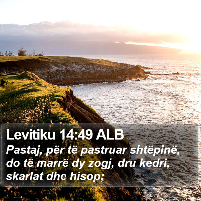 Levitiku 14:49 ALB Bible Study