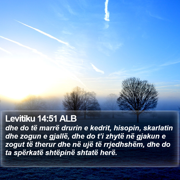 Levitiku 14:51 ALB Bible Study