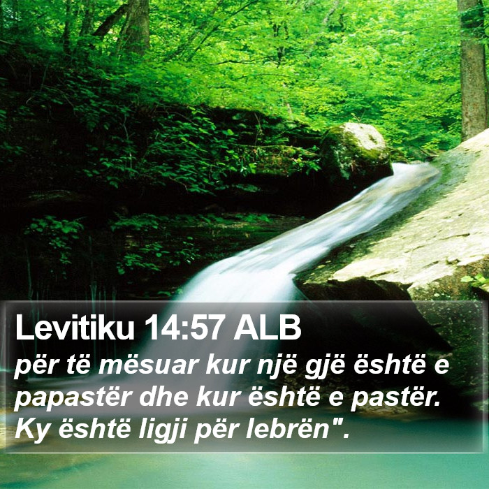 Levitiku 14:57 ALB Bible Study